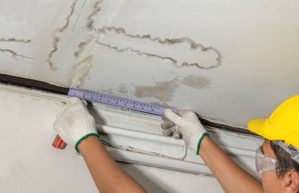 Reliable Mold Remediation contractor in Ponder, TX by Water Damage Irwin